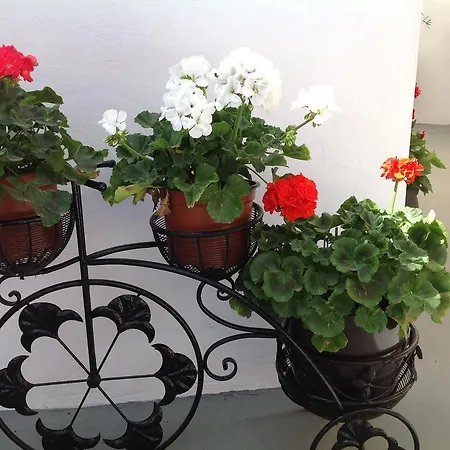 Pansion Zaharoula Fira (Santorini)