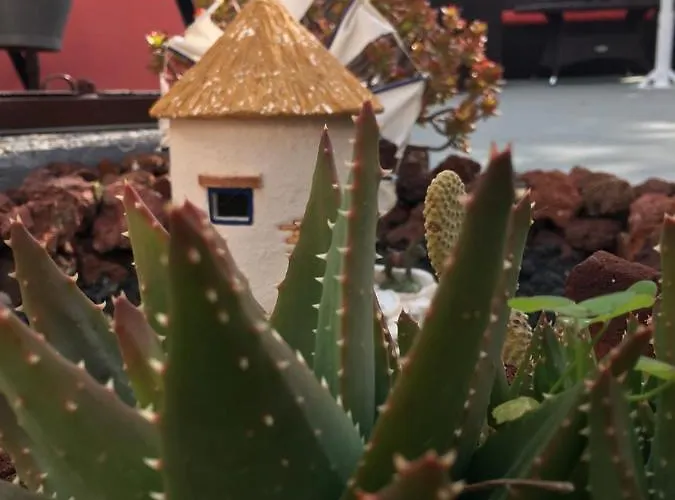 Guest house Pansion Zaharoula